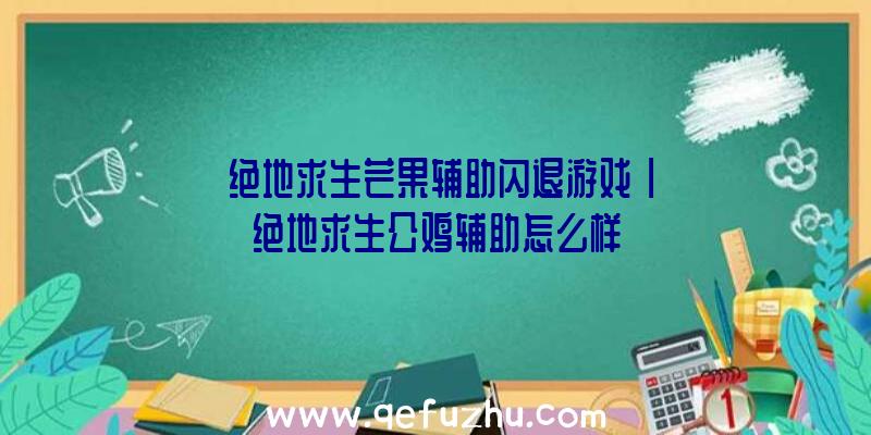 「绝地求生芒果辅助闪退游戏」|绝地求生公鸡辅助怎么样